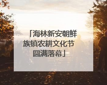 海林新安朝鲜族镇农耕文化节圆满落幕